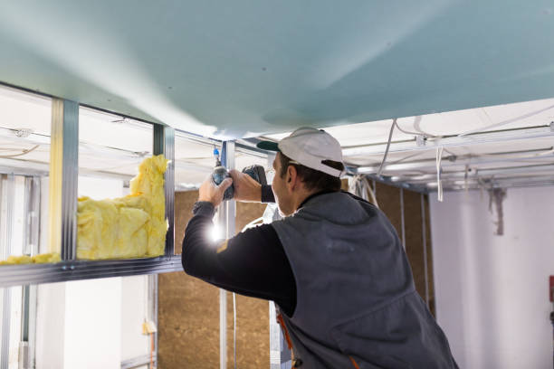 Best Geographic-Specific Insulation Services in Rosebud, SD